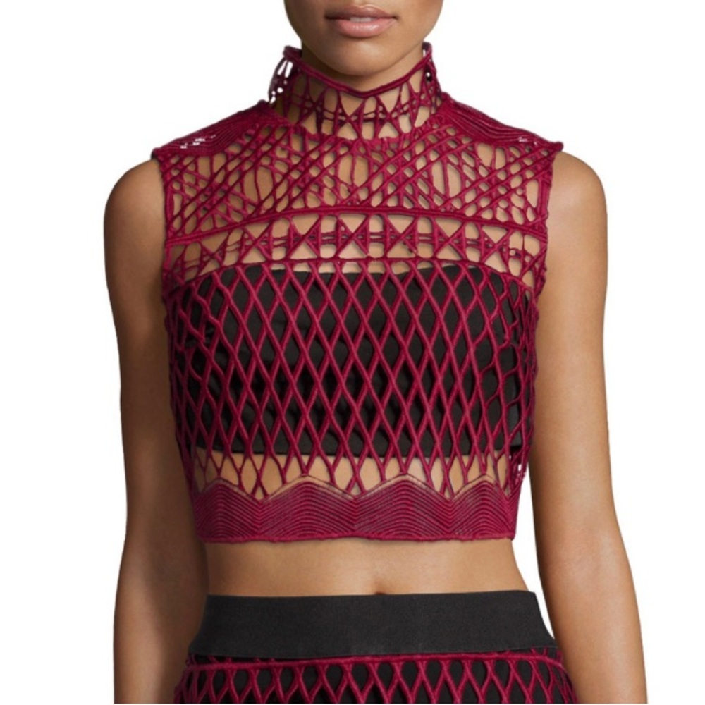 Self-Portrait Cutwork-Lace Mock-Neck Crop Top, Burgundy 4